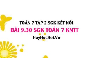 Bài 9.30 SGK Toán 7 Tập 2 Kết nối tri thức